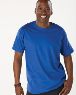 Hanes cotton beefy t shirt