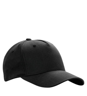 flexfit 5 panel