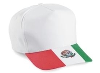 Image 5-Panel Mexico Flag