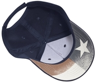 Image Cobra 5 Panel Brushed with USA under Bill