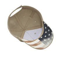 Image Cobra 5 Panel Brushed with USA under Bill copy