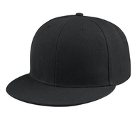 Image Mega Flat Bill Fitted Cap