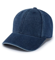 Image Pacific Aug Brand Hybrid Denim Dad Cap